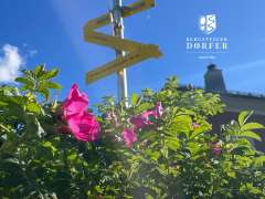 Dorf.Positive