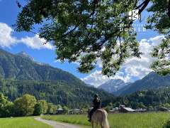 Dorf.Positive